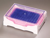 PCR IsoFreeze PCR Rack (Pink/Purple)