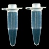 0.5 ml Individual PCR Tube with Dome Cap