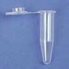 0.2 ml Individual PCR Tube with Frosted Flat Cap