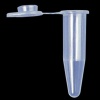 0.5 ml Individual PCR Tube with Frosted Flat Cap