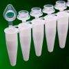 8-Strip Thin Wall PCR Tube with Individually Attached Optically Clear Flat Cap