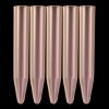5 ml Conical Tube, 12 x 75 mm - Tube Only