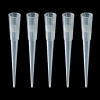 200ul Universal Fit, Low Retention Barrier Tip, PCR Filter Tip, Racked, 5 x 96/pk