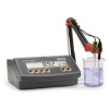 Hanna Benchtop pH Meter