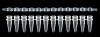 12-Strip PCR Tube with Separate Domed 12-Strip Cap