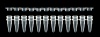 12-Strip PCR Tubes with Separate Flat 12-Strip Cap