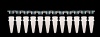 12-Strip PCR Tubes with Separate Flat 12-Strip Cap