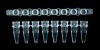 New Improved Product <br>Cat #: DIATEC420-1000