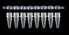 8-Strip PCR Tube with Separate Domed 8-Strip Cap