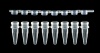8-Strip PCR Tube with Separate Flat 8-Strip Cap