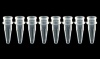 8-Strip PCR Tube - Tube Only