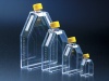 Tissue Culture Flasks, 25 Sq. cm., Vented
