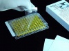 SealPlate Excel Scientific Polyester Sealing Film, Clear, Non Sterile, 100/pk
