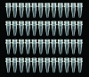 12-Strip PCR Tube - Tube Only