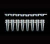 8 Strip Tubes with Seperate Flat 8-Strip Caps