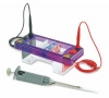 Negative Electrode, Each