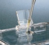 Optional Hinged TipSafe Lid for HB or SB Containers
