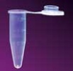 Microcentrifuge Tubes