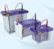 Vertical Electrophoresis