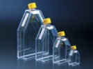 Tissue Culture Products