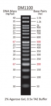 50 - 1,500 bp Ready-to-use DNA Ladder with Pre-mixed Loading Dye and sharp bands, 17 Bands, Each