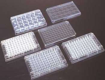 12-Well Plates, Flat Bottom, P.P. Non-Sterile, Individually Wrapped, 100/pk
