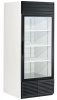 Single Swinging Glass Door, Bottom Mount Refrigerator