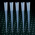 200ul Extended Pipet Tip, Universal Fit, Bulk