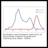 FluoroStain Protein Fluorescent Staining dye, Red 1,000X, 1 ml/pk