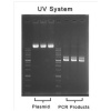 runSAFE Combined Loading Dye & DNA Stain, 1 ml/Vial