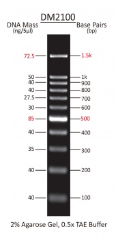 100 - 1,500 bp Ready-to-use DNA Ladder with Pre-mixed Loading Dye and sharp bands, 11 Bands, Each