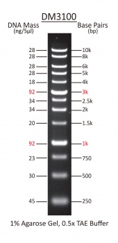 250 - 10,000 bp Ready-to-use DNA Ladder with Pre-mixed Loading Dye and sharp bands, 13 Bands, Each