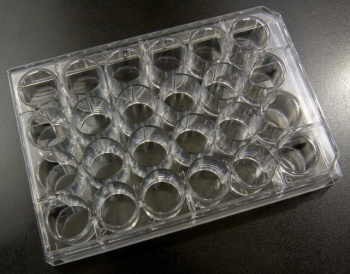 24 Well Untreated Microplates, Flat Bottom, 100/Pack